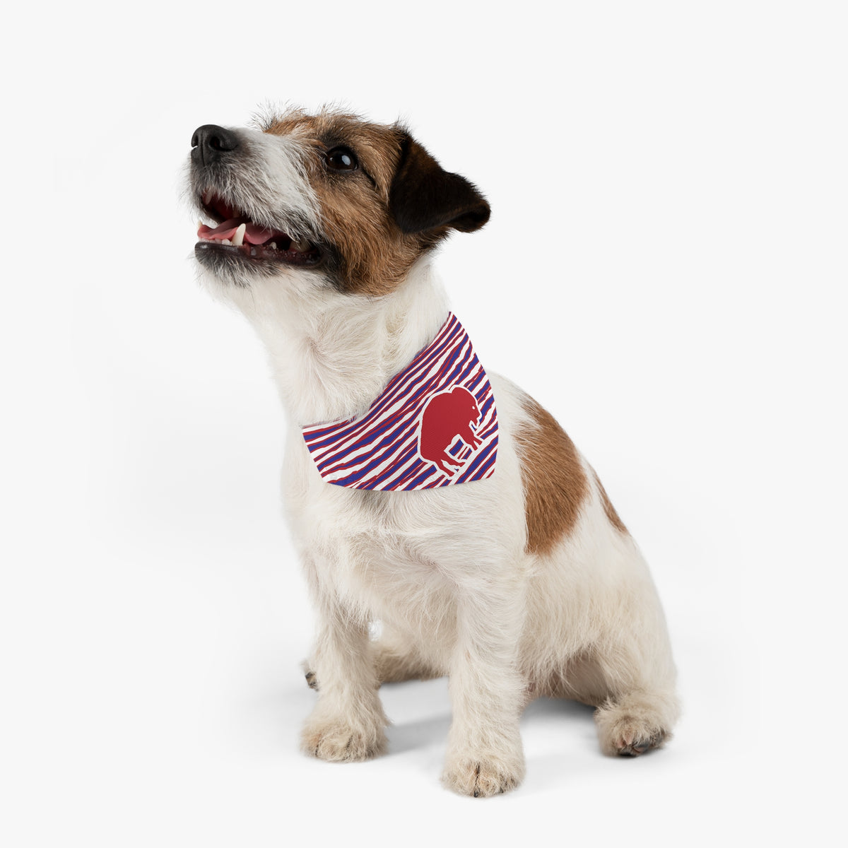 Checo Perez Red Bull Livery Inspired 11 Pet Bandana Collar —  FormulaFanatics