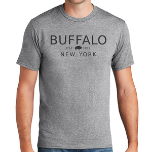 Buffalo, NY 1832 - Light Gray - T-shirt